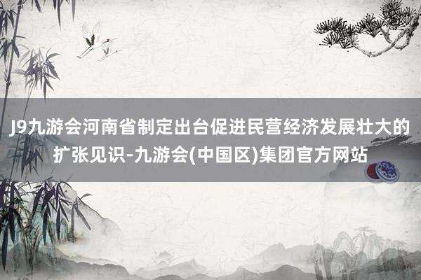 J9九游会河南省制定出台促进民营经济发展壮大的扩张见识-九游会(中国区)集团官方网站