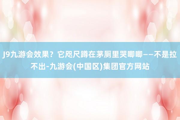 J9九游会效果?它咫尺蹲在茅厕里哭唧唧——不是拉不出-九游会(中国区)集团官方网站