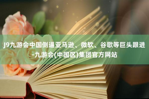 J9九游会中国倒逼亚马逊、微软、谷歌等巨头跟进-九游会(中国区)集团官方网站