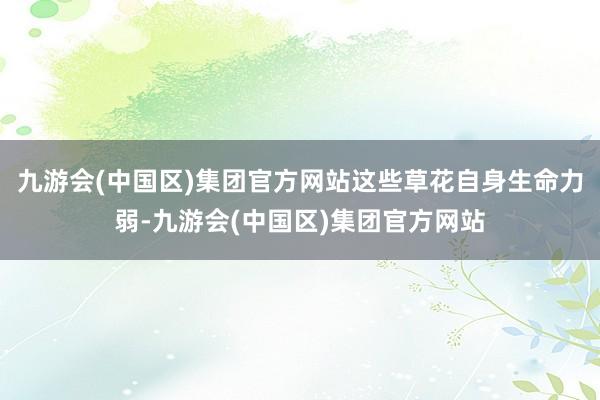 九游会(中国区)集团官方网站这些草花自身生命力弱-九游会(中国区)集团官方网站